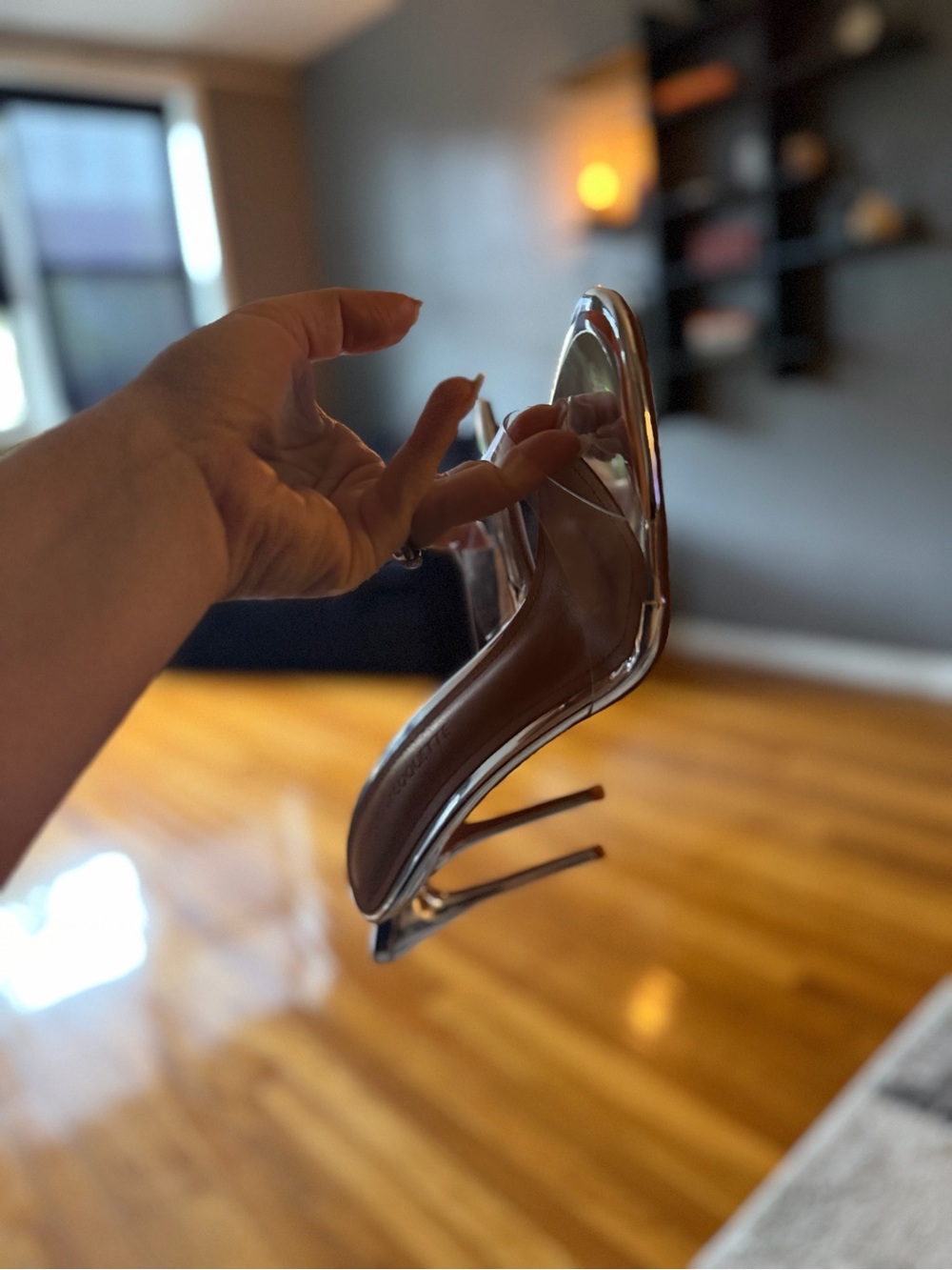 Clear PVC Pointed Toe Stiletto Pump in Brown Insole
